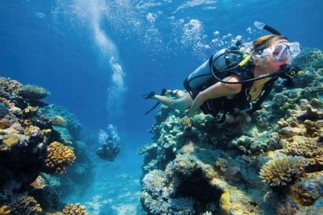 Tauchen am Great Barrier Reef ist unvergesslich!