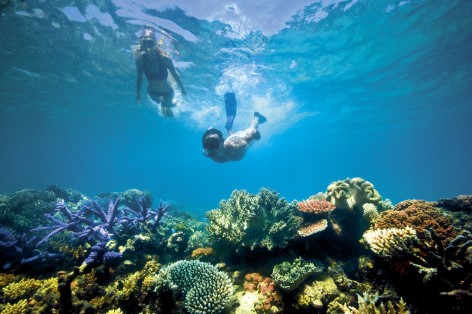 Cairns and region - Diving at the Great Barrier Reef