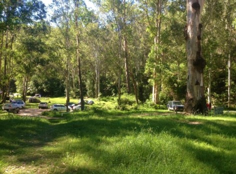 Kostenfrei: Wheeny Creek Camp Site