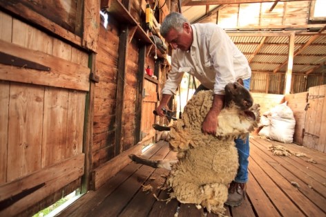 Warrook Farm: Lerne das australische Farmleben kennen!