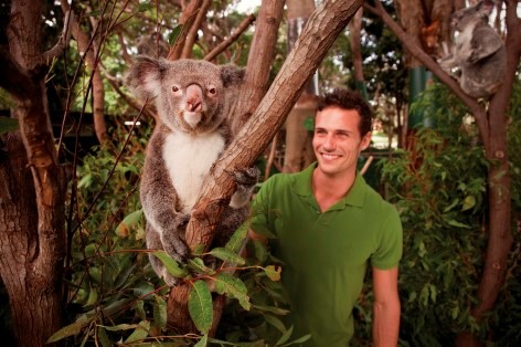 Besuche das Koala Conservation Center
