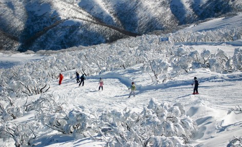 Mount Hotham Ski Resort