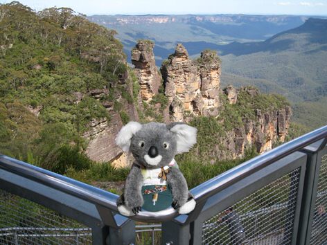 Von Sydney in die Blue Mountains - kuscheliger Koala