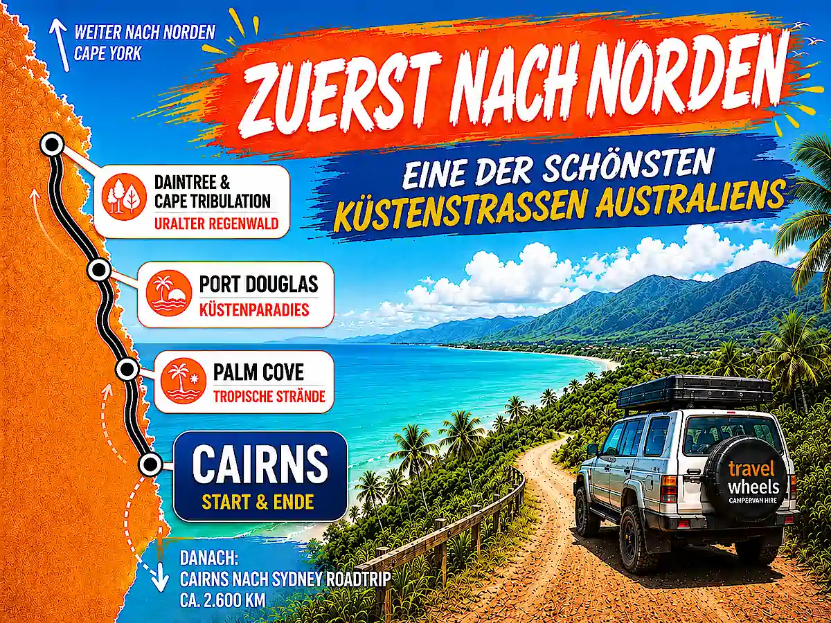 Cairns nach Sydney Roadtrip – Abstecher nach Port Douglas, Daintree und Cape Tribulation