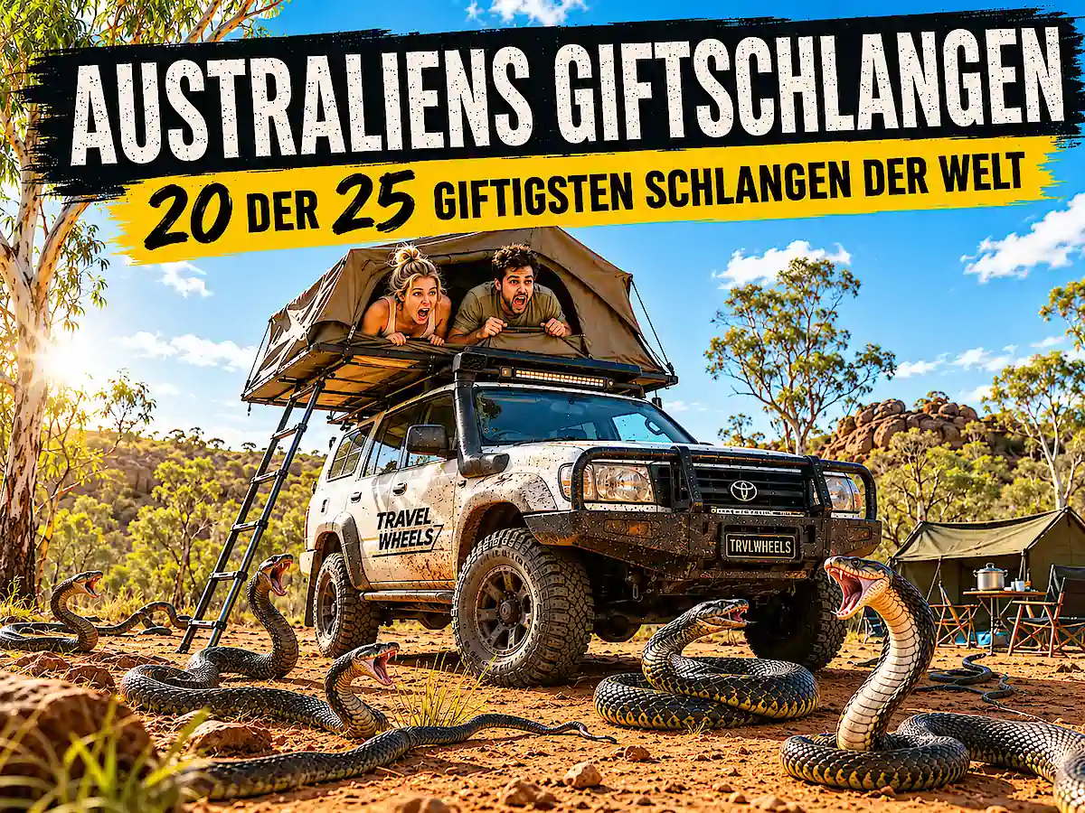 Giftige Tiere in Australien – Australien hat 20 der 25 giftigsten Schlangen der Welt